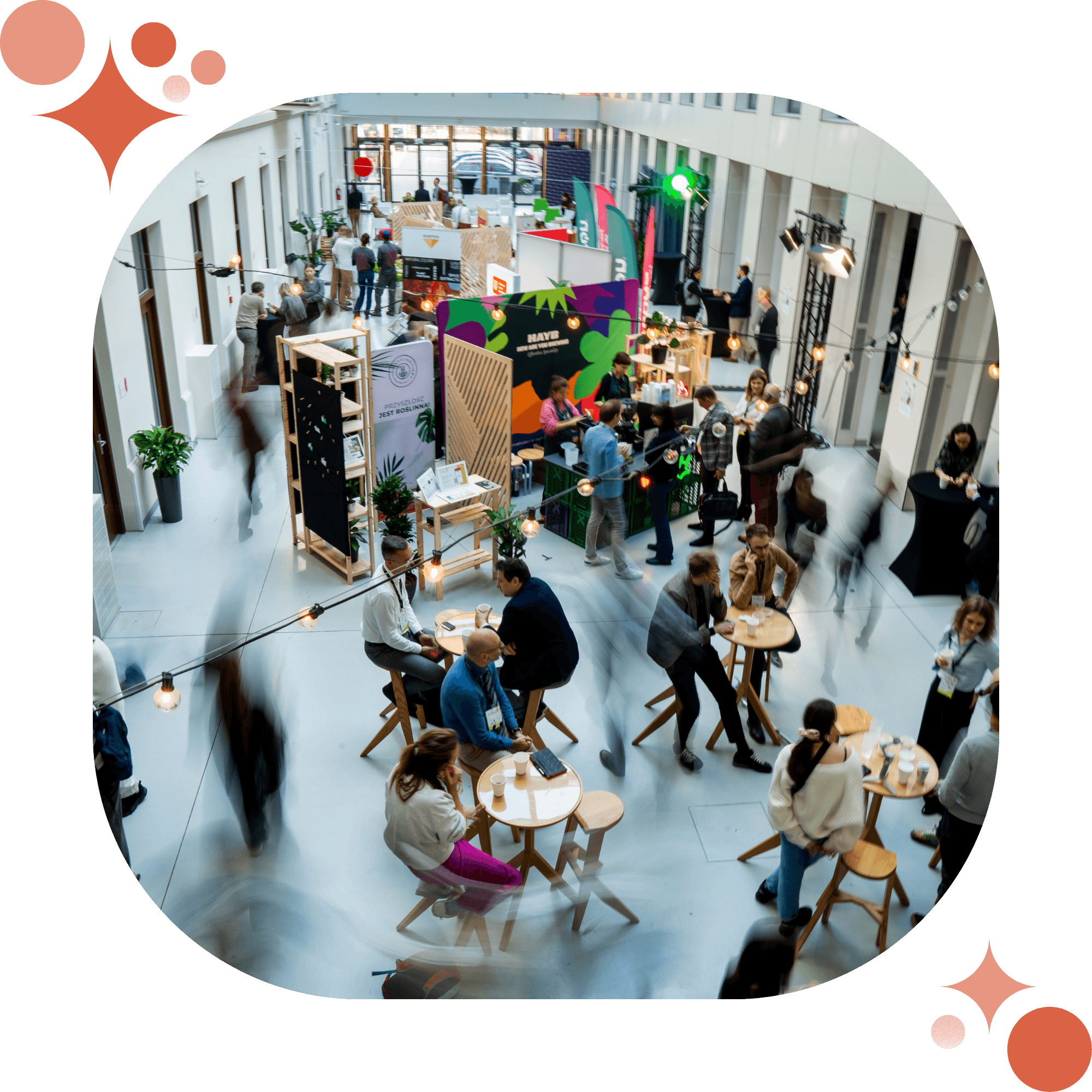 Plant-Powered Perspectives zrzut z góry